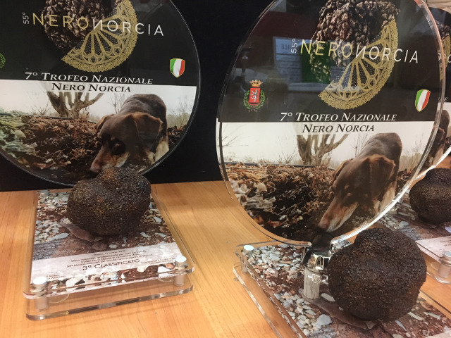 Trofeo Plexiglas personalizzato "cane tartufo"